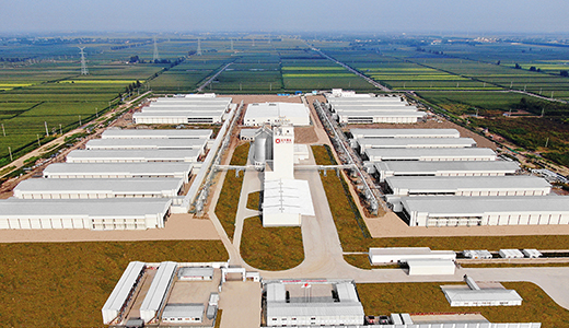 山东潍坊现代食品（360万蛋鸡）全产业链